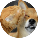 Kelly Chang profile picture